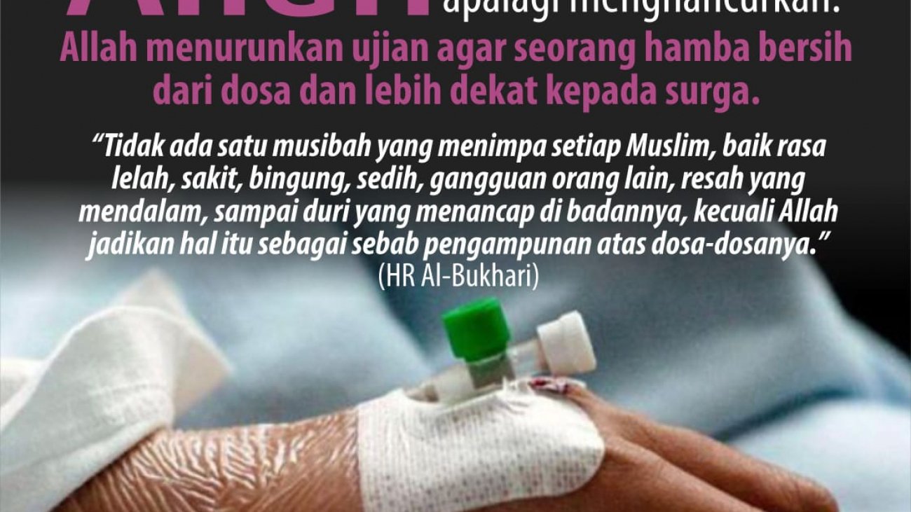 WhatsApp Image 2020-06-27 at 05.11.58